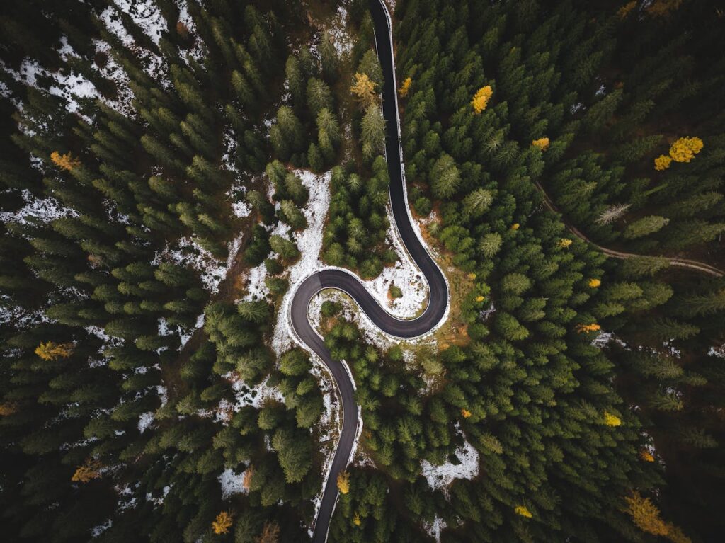 A winding road snakes through a dense forest in Cortina d’Ampezzo, Italy.