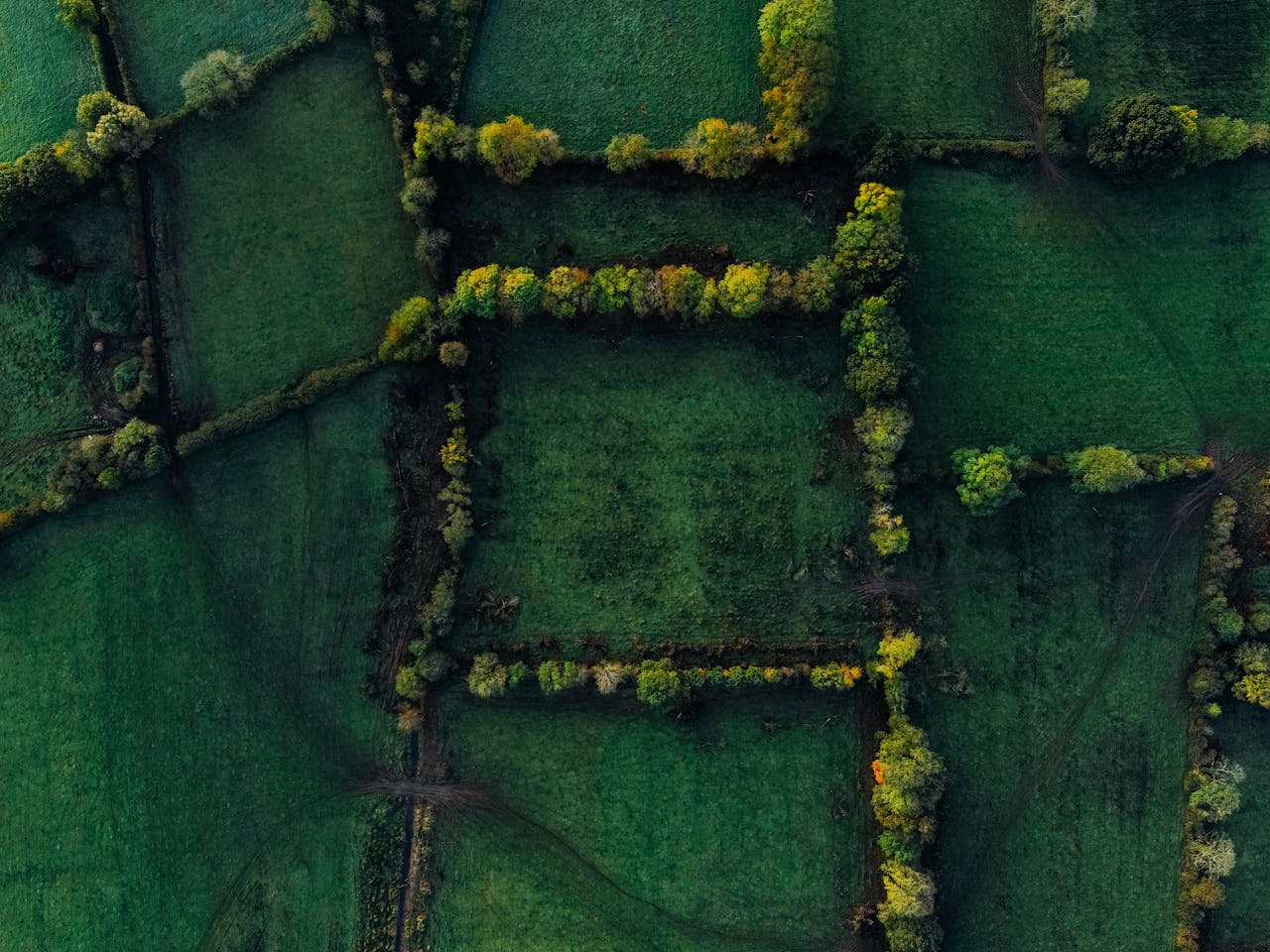 Stunning aerial shot of lush green fields creating a serene patchwork landscape.