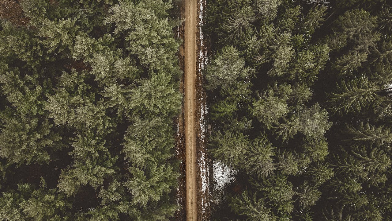 An aerial shot of a forest road dividing two lush green areas in a snowy landscape.